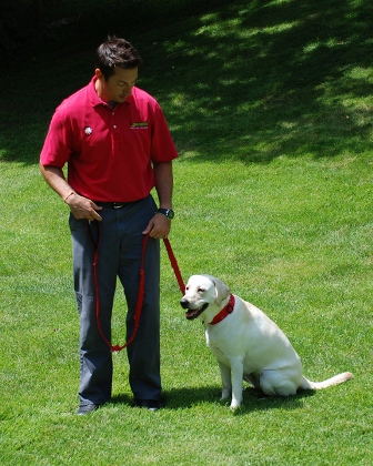 Bark Busters Home Dog Training Franchise Opportunities (Click Here)